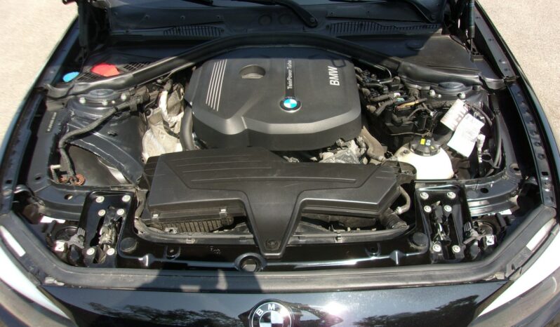 BMW 116 Klimatronic, Ele szyby, Ele lusterka, Manual, 5 drzwi, Podgrz. fotele full