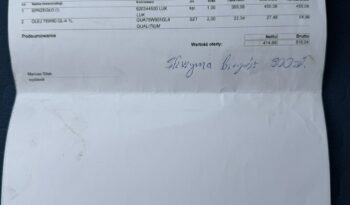 Fiat Panda Wspomaganie, Klimatyzacja, AUX, USB full