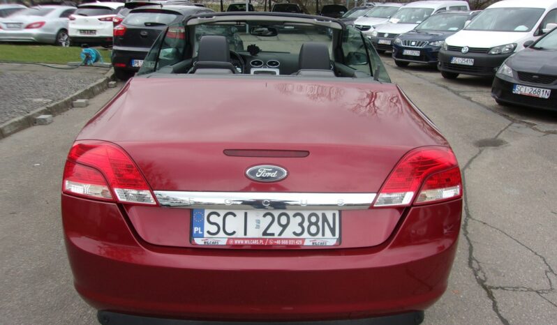 Ford Focus Cabrio, Klimatronic 2-stref, Podgrz. fotele, Tempomat full