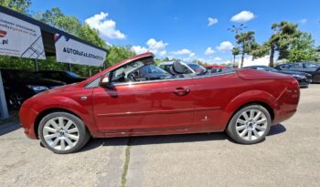 Ford Focus Cabrio, Klimatronic 2-stref, Podgrz. fotele, Tempomat full