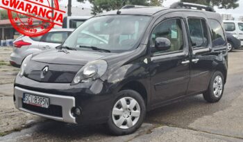 Renault Kangoo Klimatronic, Podgrz. fotele, Hak holowniczy, PDC, Ele szyby 4x full