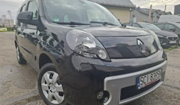 Renault Kangoo Klimatronic, Podgrz. fotele, Hak holowniczy, PDC, Ele szyby 4x full