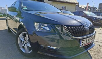 Škoda Octavia Klimatronic 2-stref, DSG, Podgrz. fotele, PDC 2x, Navi, PL Salon full
