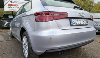 Audi A3 Klimatronic 2-stref, Podgrz. fotele, Navi, PDC, Bi-Xenon, Hak full