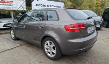 Audi A3 Klimatronic 2-stref, Tempomat, Podgrz. fotele, PDC, Podłokietnik full